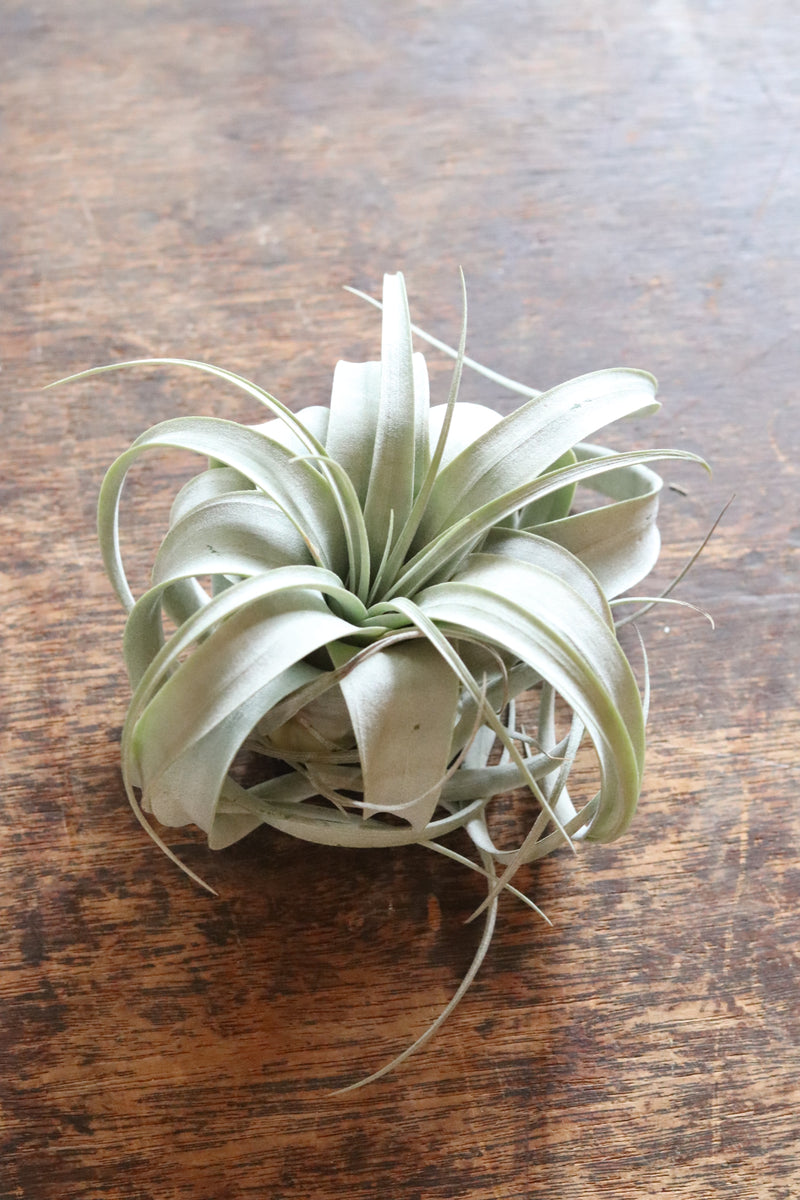 60DDE891-876B-4E9F-ACEA-