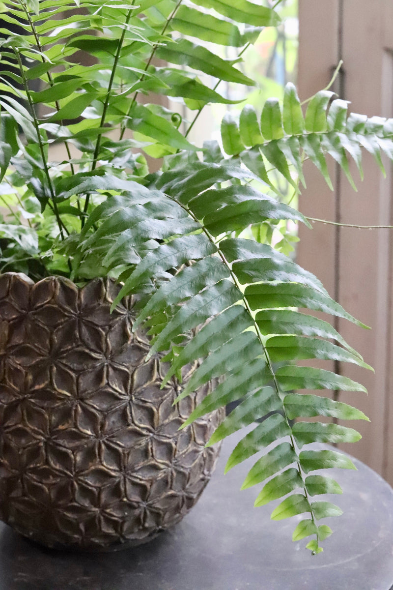 image_5819511c-6092-4f9d-bdb3-