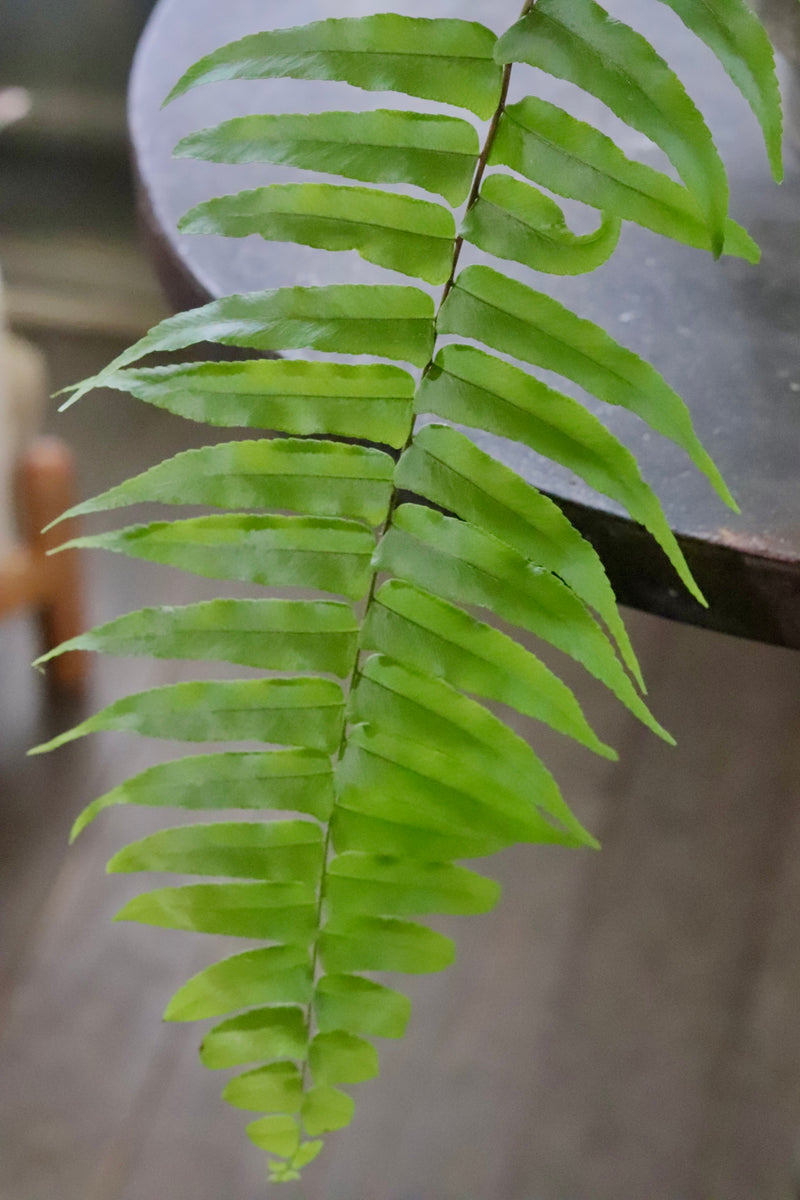 image_646ce2d0-5a81-4e0d-a3d6-