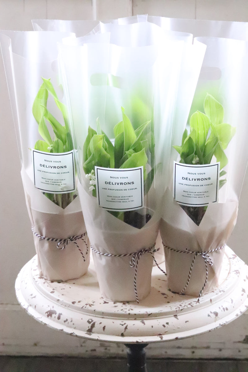 image_9f5819c4-9bf3-498a-a324-