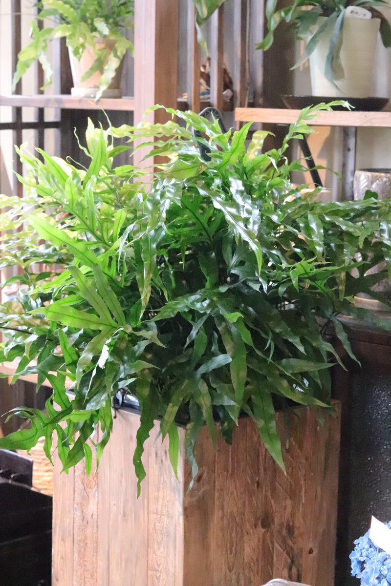 image_badfbbb3-2f00-4be8-b161-